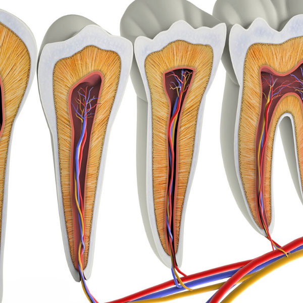 the-reason-for-tooth-color-change-after-nerve-extraction