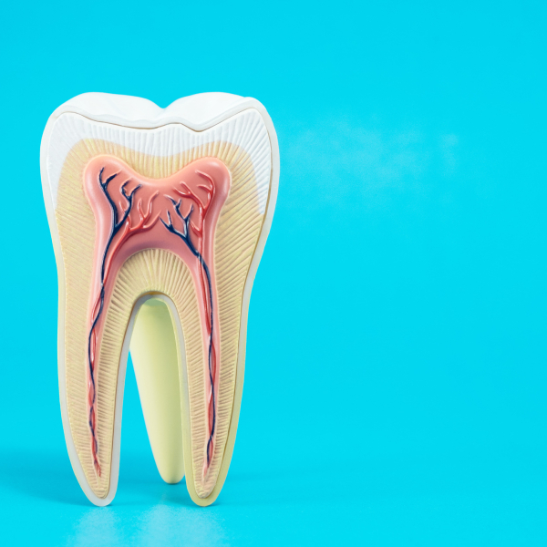 the-reason-for-tooth-color-change-after-nerve-extraction