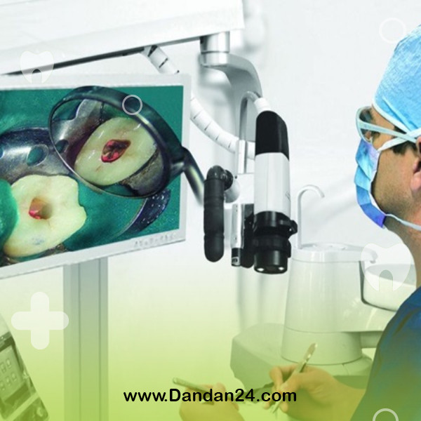 the-importance-of-specialized-endotherapy2